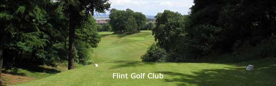 Flint Golf Club