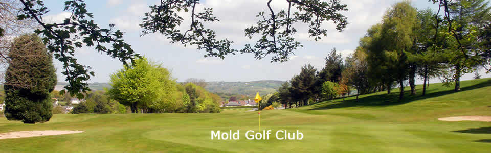 Mold Golf Club